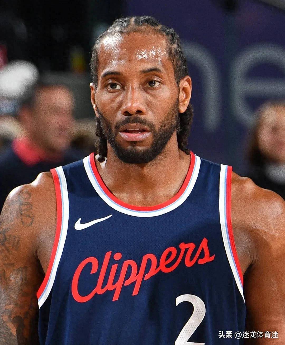 回归强势 回归强势